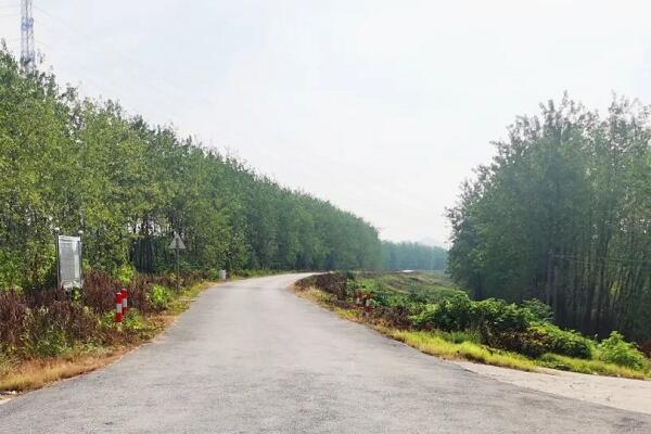 一種道路縱橫斷面測(cè)量的高效方法，效率提升5倍以上!